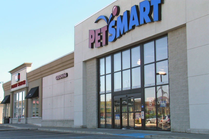 Design Build Project Photo - Wellington Commons Plaza (Petsmart and such.) in London Ontario